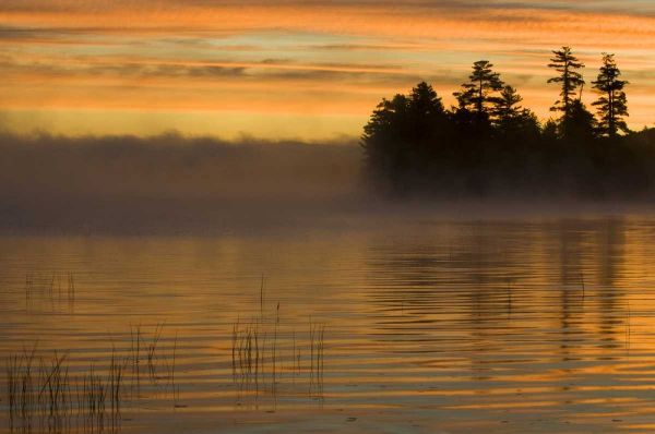 New York, Adirondack Mts Racquette Lake, sunrise
